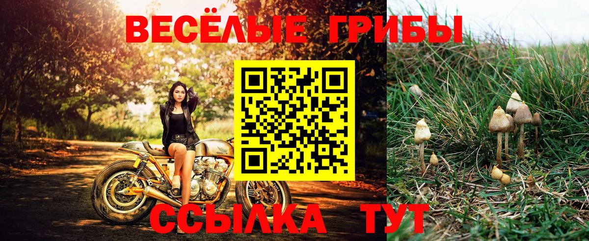 Галлюциногенные грибы мицелий Томск